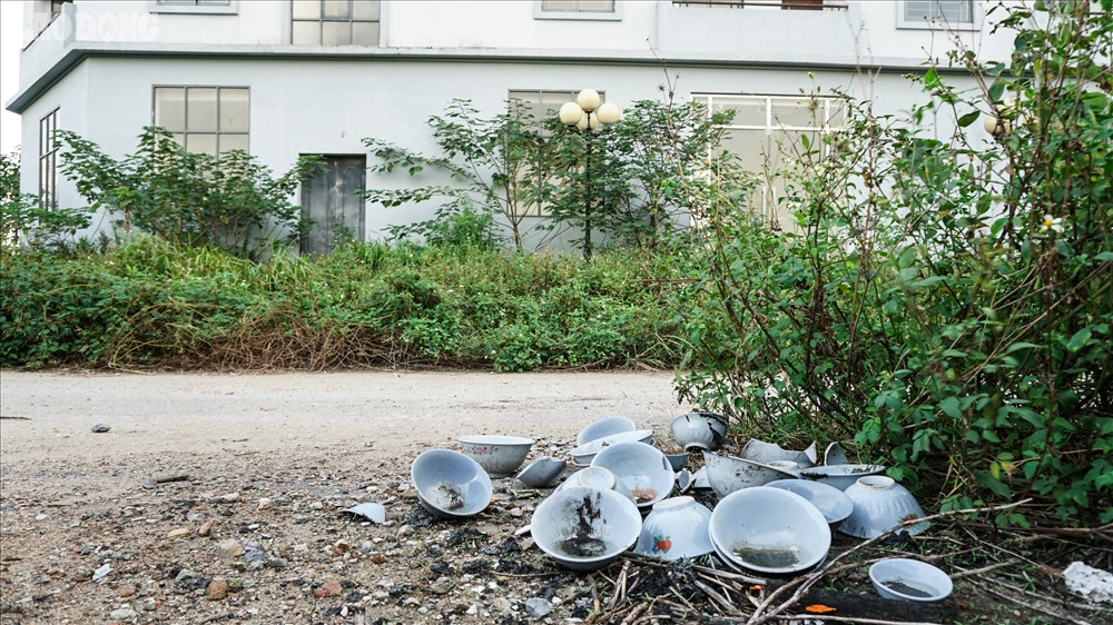 Xung quanh khu nhà, cỏ cây um tùm, rác  thải sinh hoạt như bãi đĩa, quần áo... vứt bừa bãi.
