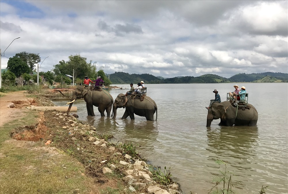 Dịch vụ cưỡi voi trên hồ Lắk. Ảnh: H.V.M