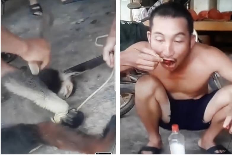 Trưa 25.11, tài khoản Facebook có tên Phan Hợi đã phát trực tiếp cảnh nhóm người tàn nhẫn giết chết một cá thể khỉ để ăn thịt khiến nhiều người phẫn nộ.