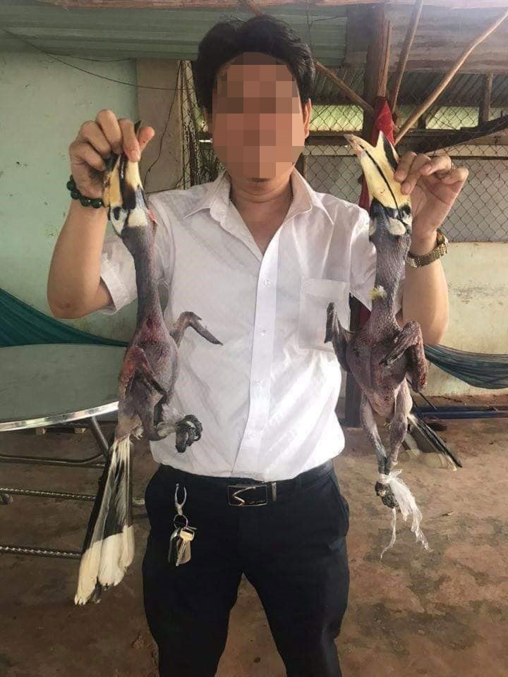 Chủ Facebook Tuan Kiet cho rằng chỉ mượn chim để chụp hình cho vui trên tinh thần sống ảo chứ không có ăn và làm thịt. 