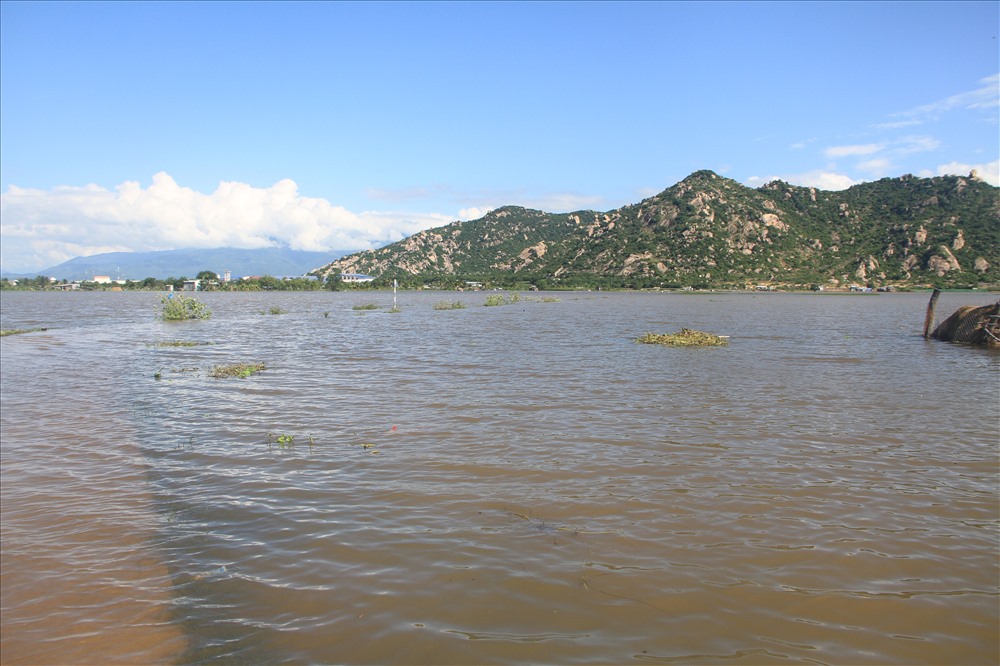 Khu dân cư Gò chùa, sân Ông Biền đang chìm ngập trong nước, chia cắt việc đi lại cho người dân.