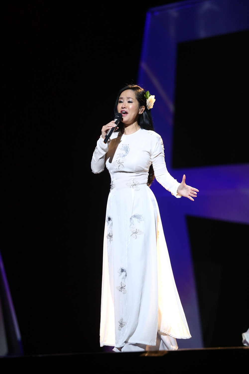 Diva Hồng Nhung lôi cuốn khán giả bằng khi hát đầy cảm xúc “Phố à, phố ơi!“. Ảnh: