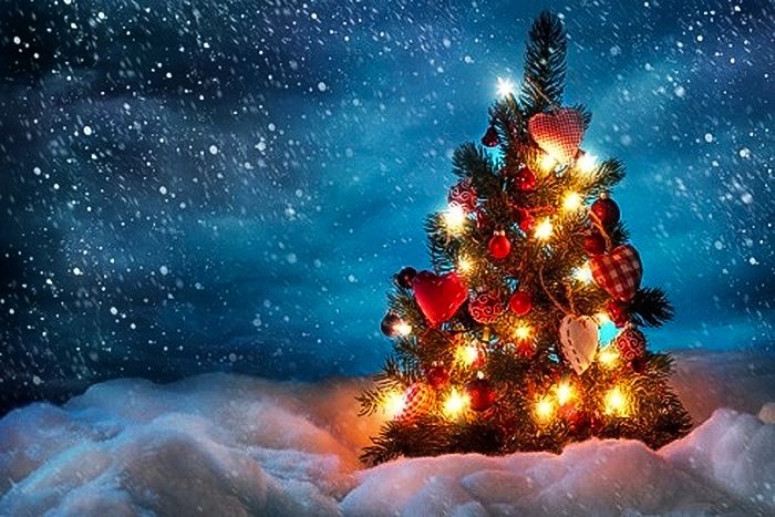 Trang trí cây thông Noel đẹp là bước đầu tiên để khởi động mùa lễ hội. Cùng xem qua hình ảnh về trang trí cây thông Noel đẹp này, với những chiếc bánh quy xinh xắn, những chiếc hộp quà và những đường cong mềm mại trên cây thông. Bạn sẽ phấn khích và sẽ muốn tự mình triển khai những ý tưởng trang trí độc đáo của riêng mình.