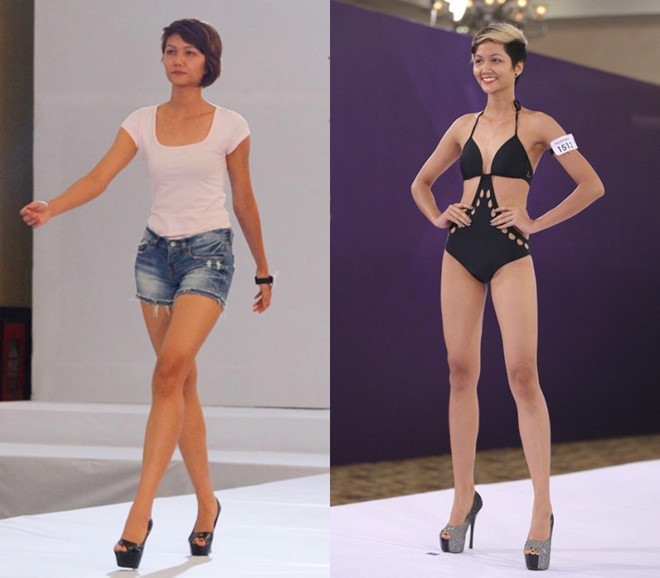 H'Hen Niê được công chúng biết tới khi tham gia Vietnam Next top Model 2015 và dừng chân ở top 8. 