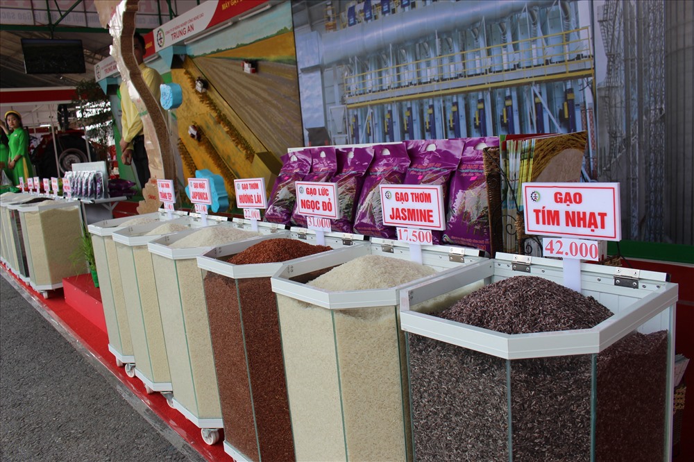 Gạo ngon từ khắp các vùng miền trên cả nước hội tụ về Festival.