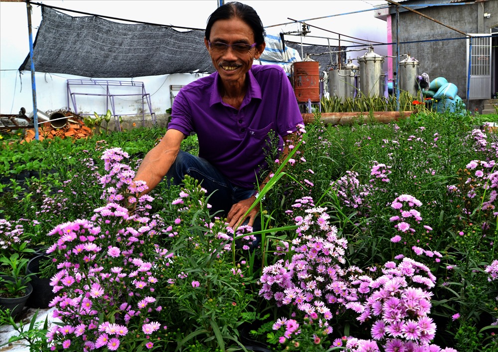 Ông Trần Văn Tiếp bên luống hoa màu tím trong vườn nhà. Ảnh: Lục Tùng