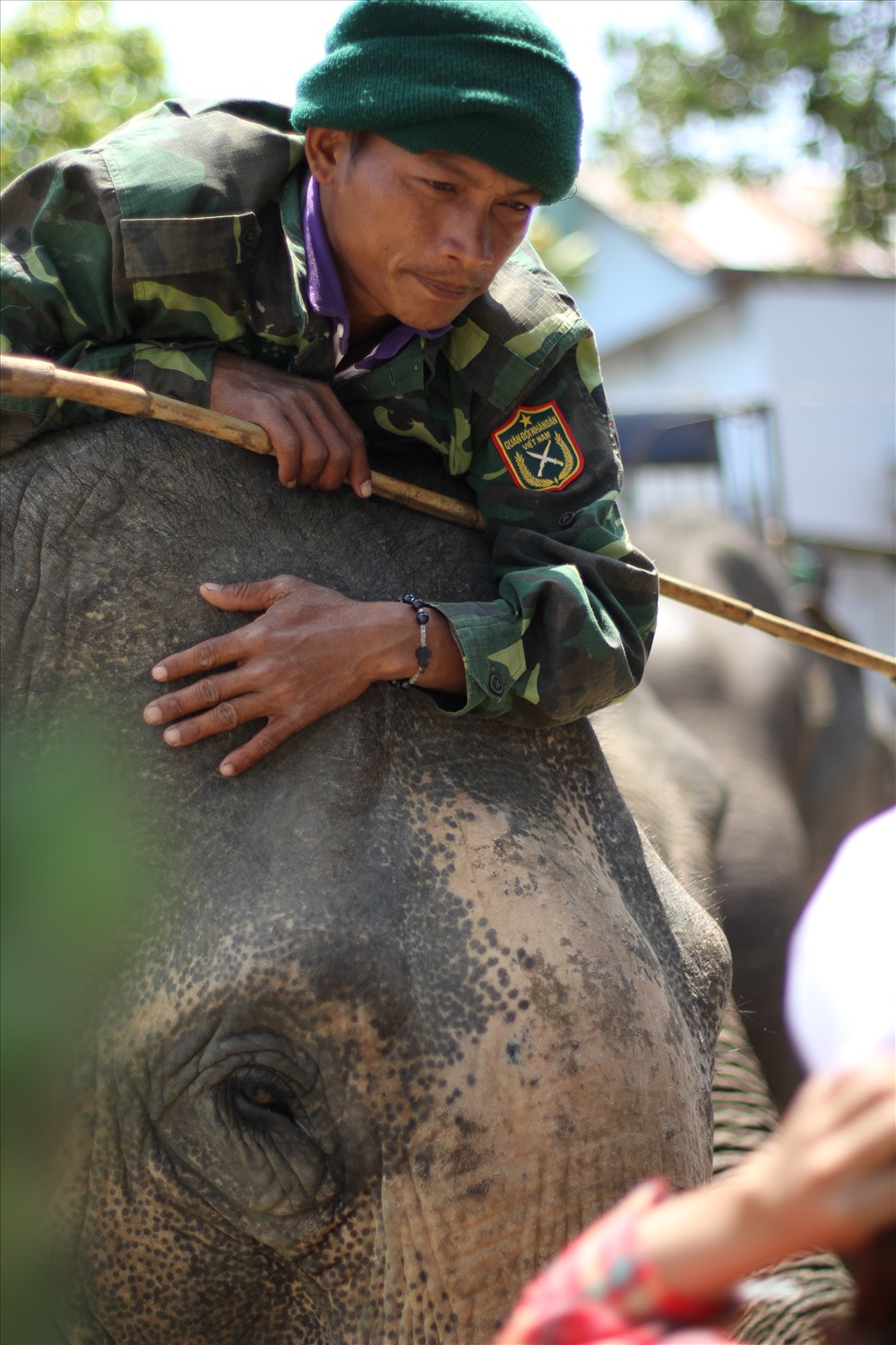 Ảnh chụp nài voi Y Vinh cùng voi nhà trong một lần chở khách du lịch ở hồ Lắk.