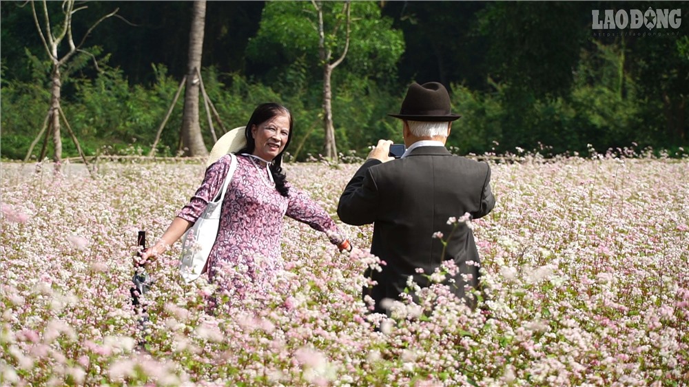 Loài hoa đặc trưng của miền cao nguyên đá địa đầu Tổ quốc Hà Giang bất ngờ bung sắc ở Làng văn hóa các dân tộc Việt Nam đã thu hút hàng nghìn lượt khách đến chụp ảnh.