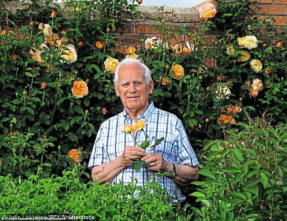 David Austin đã nhân giống hơn 230 bông hồng trong sự nghiệp phi thường của mình sau khi nhận thấy bản thân dành nhiều sự quan tâm đến những bông hoa trong những năm tuổi thiếu niên.