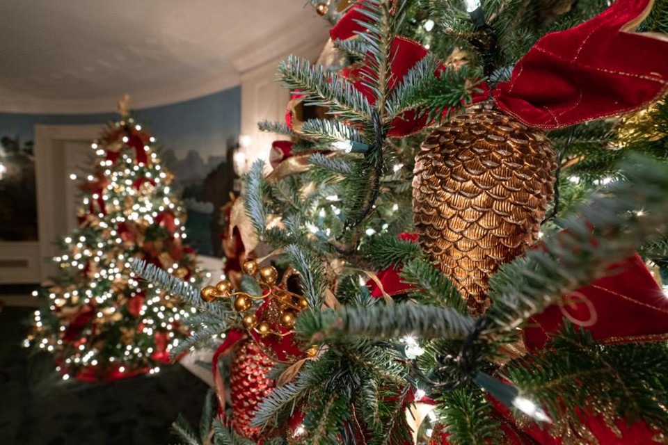 Những bóng đèn sáng lấp lánh cùng hàng trăm quả thông vàng giúp căn phòng Diplomatic Room lộng lẫy hơn ngày thường. Hai cây thông Noel còn được đặt ở hai bên lò sưởi. Đây cũng là nơi treo bức hình tổng thống đầu tiên của nước Mỹ, George Washington. 