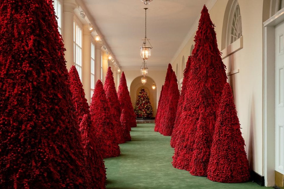 Hơn 40 cây quả mọng đỏ xếp thẳng tắp thành hai hàng dọc theo hành lang phía đông Nhà Trắng. 