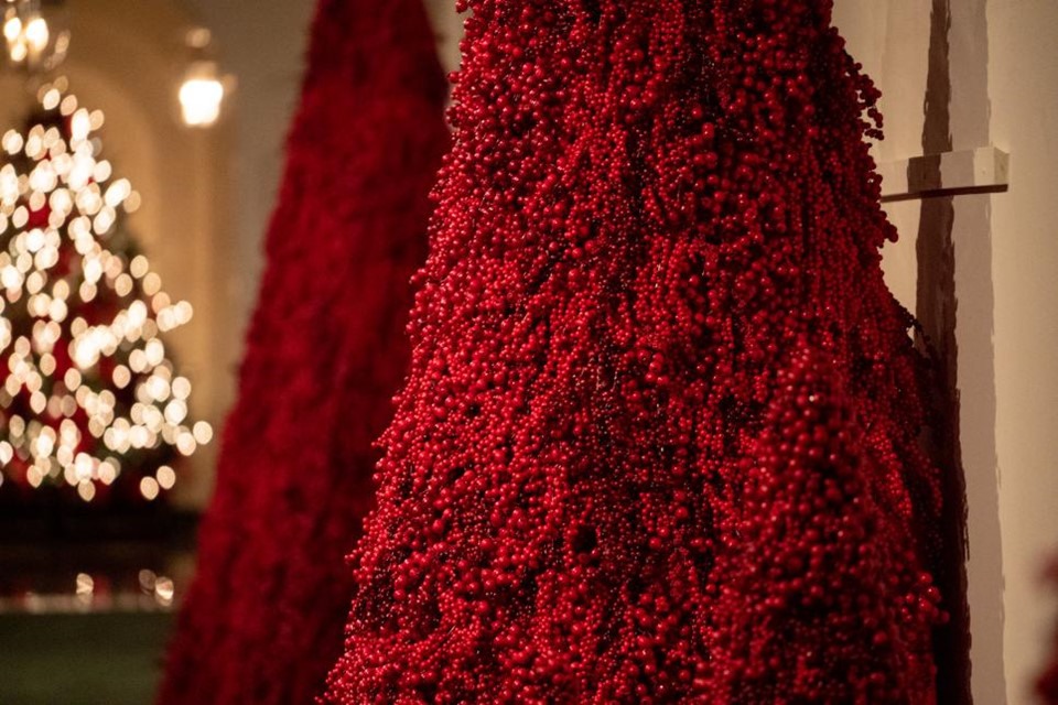 Hơn 40 cây quả mọng đỏ xếp thẳng tắp thành hai hàng dọc theo hành lang phía đông Nhà Trắng. 