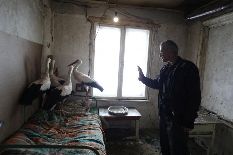 Ông Bulgaria Safet Ismail (53 tuổi) đứng bên cạnh những con cò mà ông đã cứu ở làng Zaritsa, Bulgaria, ngày 21.3.2018. Hàng chục người từ các làng ở phía đông bắc Bulgaria đã đưa cò vào nhà của mình giữa lúc nhiệt độ đóng băng và tuyết rơi dày ở khu vực này.