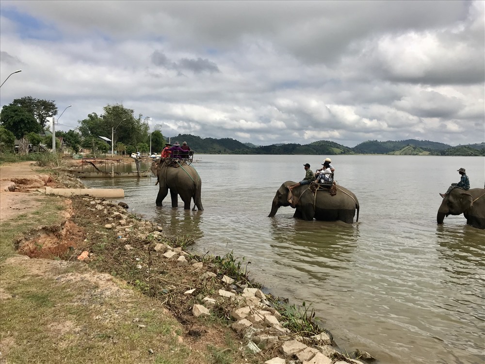 Ở Tây Nguyên hiện chỉ còn mỗi hồ Lăk là du khách có thể trải nghiệm cưỡi voi. Ảnh: H.V.M