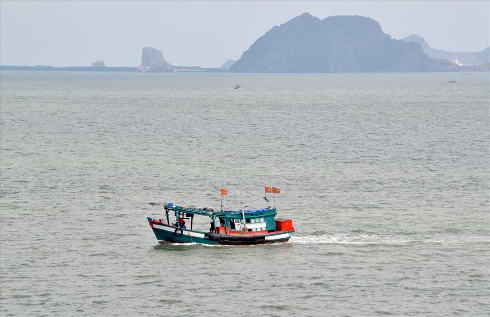 Với lợi thế vùng biển rộng, rất thích hợp để Sơn Hải phát triển đánh bắt và nuôi trồng hải sản. Ảnh: Lục Tùng