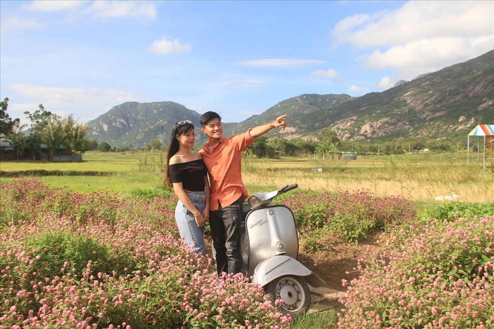 Các loài hoa hoà cùng với cảnh thiên nhiên, tạo nên một điểm “phượt” mới tại Phim Trường Du Long.