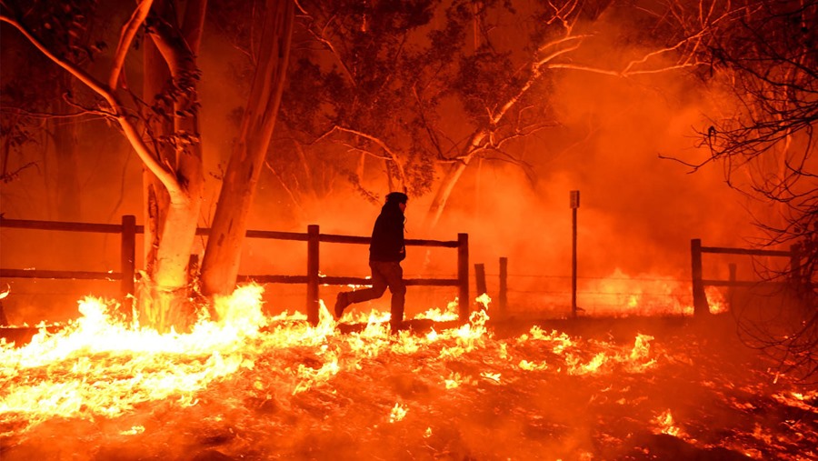 Hàng loạt vụ cháy rừng đã xảy ra trong tháng cuối cùng của năm ở phía nam bang California, Mỹ, thiêu rụi hơn 150.000 hecta và buộc hơn 150.000 người phải sơ tán, được xem là vụ cháy rừng lớn thứ 3 trong lịch sử California. Trước đó, hồi tháng 10.2017, cháy rừng dữ dội nhất trong lịch sử cũng đã đe dọa ngành công nghiệp rượu vang 58 tỉ USD của California. Trong ảnh: Edward Aguilar băng mình chạy qua lửa về cứu những con mèo ở nhà trên đường cao tốc 33, ở Casita Springs, hạt Ventura, Nam California. Ảnh: LOS ANGELES TIMES