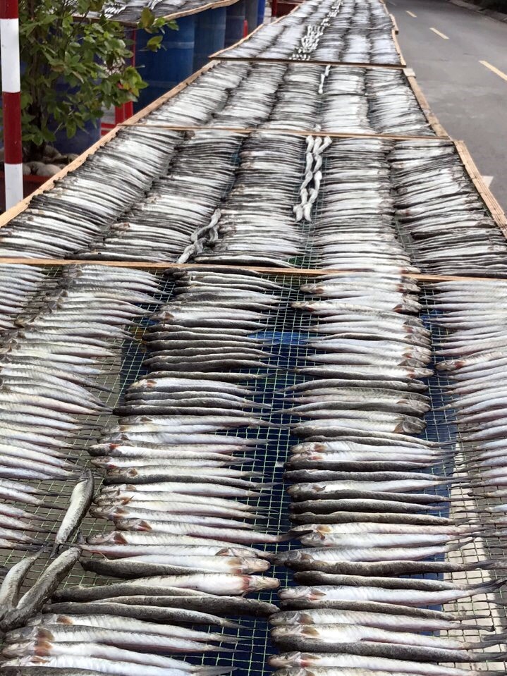 Khô cá kèo có giá thấp nhất cũng 250.000 đồng/kg