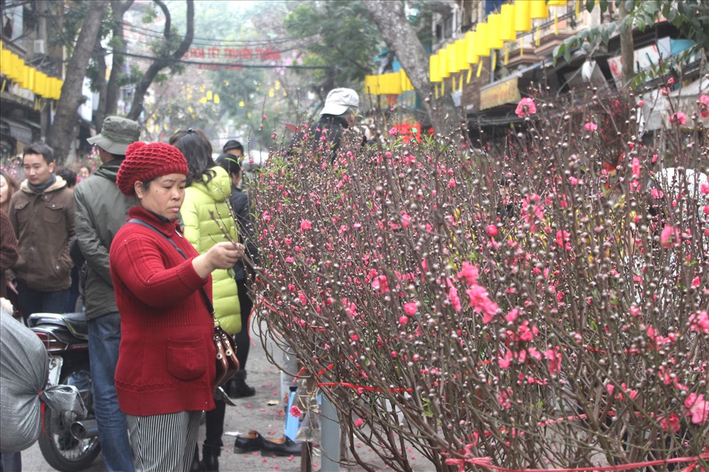 Chợ hoa nằm trên phố Hàng Lược, mở rộng sang cả các con phố lân cận: Hàng Chai, Hàng Rươi, Hàng Mã, Chả Cá... thu hút hàng nghìn thương nhân buôn bán chủ yếu là các loại cây, hoa truyền thống như: đào, quất, cúc, thược dược, violet... 