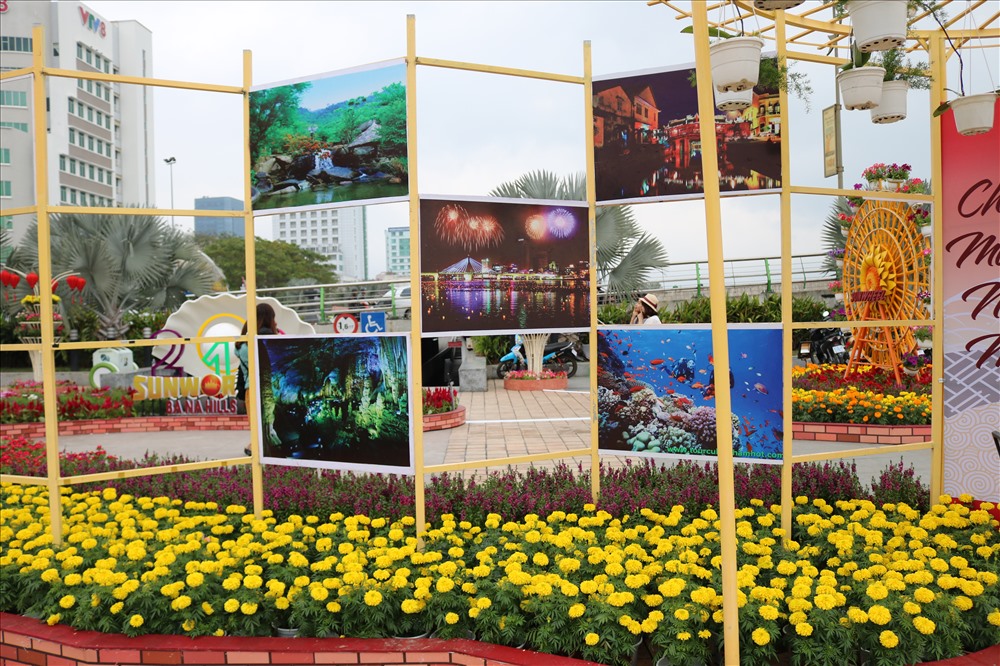 Những hình ảnh về cảnh đẹp Đà Nẵng, phố cổ Hội An được trưng bày tại đường hoa phụ vụ người thưởng lãm. Ảnh: Trâm Nguyễn