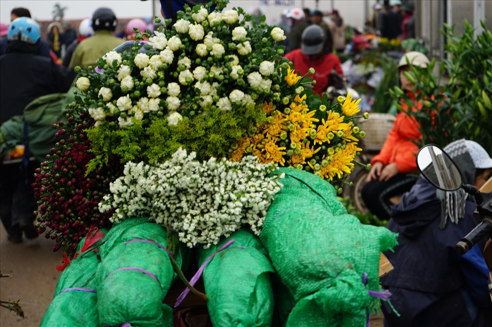 Mặc dù giá hoa tăng ở mức kỉ lục nhưng chợ hoa Mỹ Tân vẫn nhộn nhịp kẻ mua người bán 
