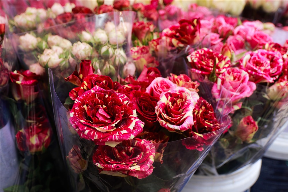 Các loại hoa hồng nhập có giá “kỉ lục” lên đến hàng trăm ngàn/bông. Đây được xem là món quà đẹp để các cặp đôi dành tặng nhau trong ngày lễ tình nhân.