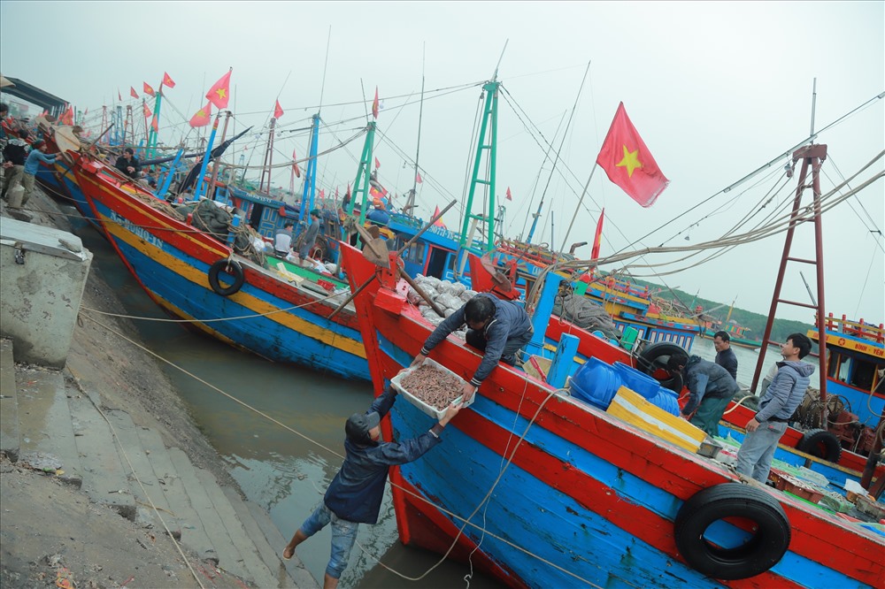 Hàng năm, ngư dân huyện Diễn Châu đánh bắt được khoảng 500 tấn tôm biển, do tiêu thụ không hết nên người dân ở huyện này đã sấy khô tôm qua đó sáng tạo ra món tôm nõn thơm ngon nức tiếng từ hàng chục năm nay. ảnh:HQ