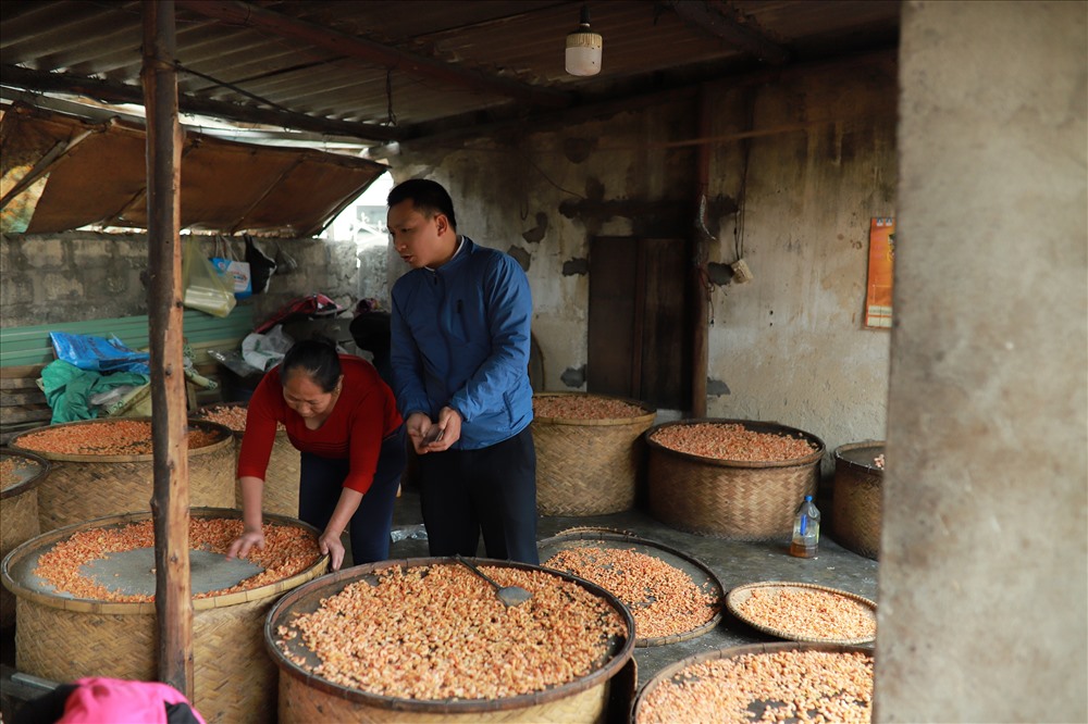 Nắm bắt được xu thế, đồng thời muốn nghề tôm nõn vươn xa. Năm 2016, Hội Sản xuất và kinh doanh tôm nõn Diễn Châu đã được thành lập với 30 thành viên. ảnh:HQ