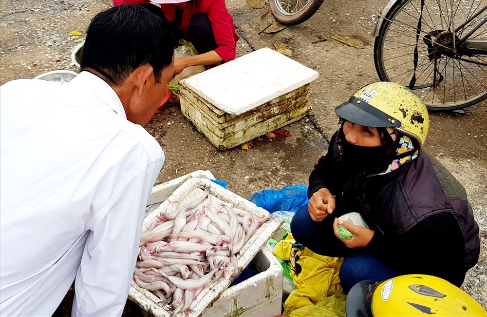 Cá khoai - một đặc sản củ vùng biển Quảng Bình cũng được ngư dân đánh bắt được vào ngày đầu năm mới.  Ảnh: Lê Phi Long