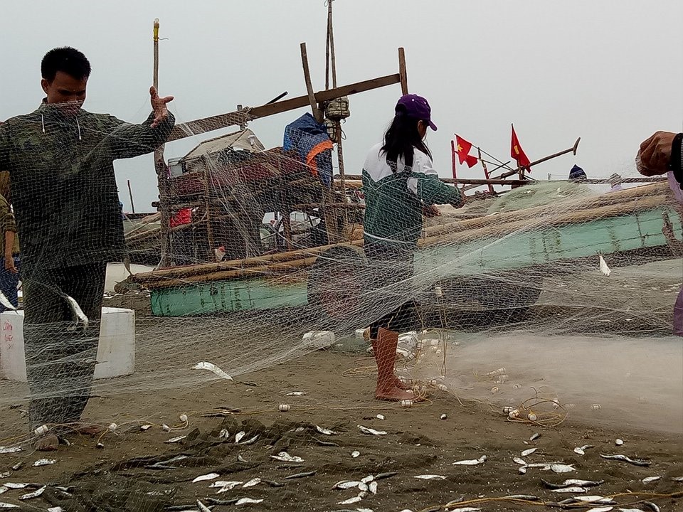 Ngư dân phấn khởi khi được mùa cá trích đầu năm. ảnh:Văn Huyến