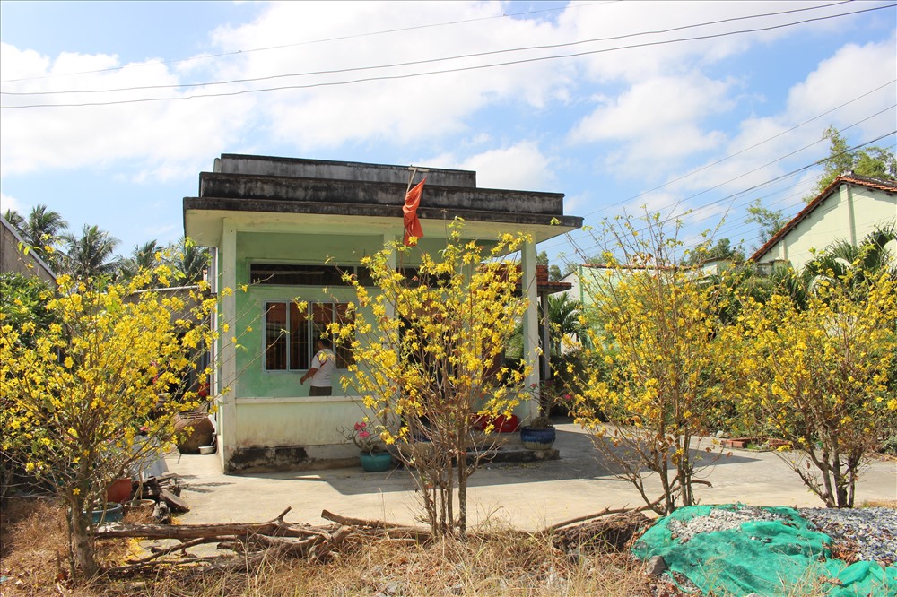 Một hộ nghèo ở xã Tân Lân, huyện Cần Đước, tỉnh Long An có hàng chục cây mai quý quanh nhà.
