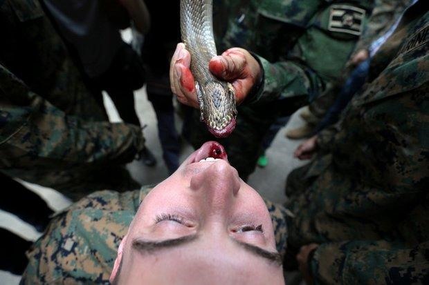 Binh sĩ Mỹ, Thái Lan uống máu rắn trong bài tập sinh tồn. Ảnh: Reuters. 