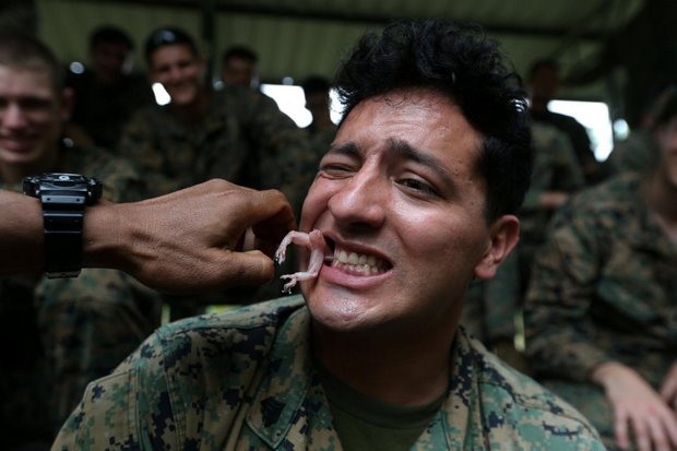 Một lính thủy đánh bộ Mỹ ăn thằn lằn sống trong bài diễn tập hôm 19.2. Ảnh: BKP. 