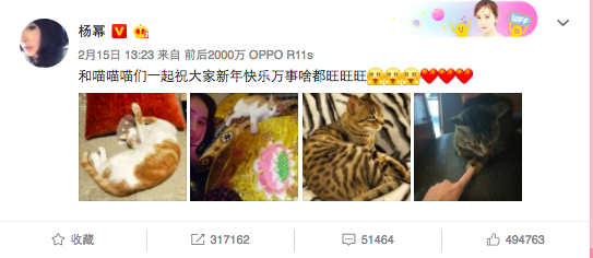 Dương Mịch đăng tải hình ảnh bên mèo cưng ngày Valentine