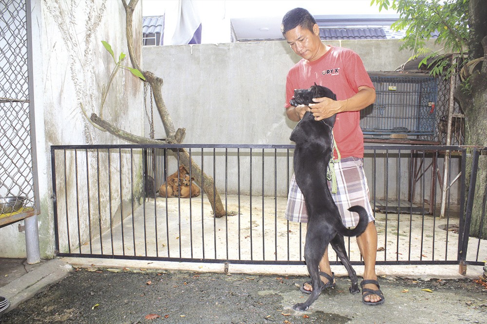 Anh Phạm Diễm Bình bên chú chó Phú Quốc mà anh ưng ý nhất.