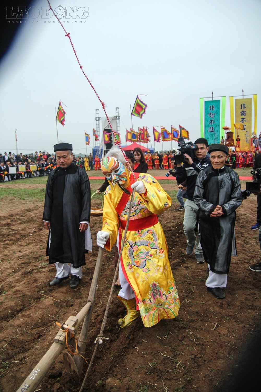 Những chú trâu to khỏe nhất làng được chọn để tham gia lễ hội Tịch điền 2018.