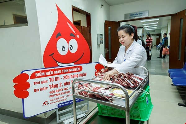 Những đơn vị máu quý giá đang được đưa về Khoa Điều chế thành phần máu (Ảnh: C.Thắng)
