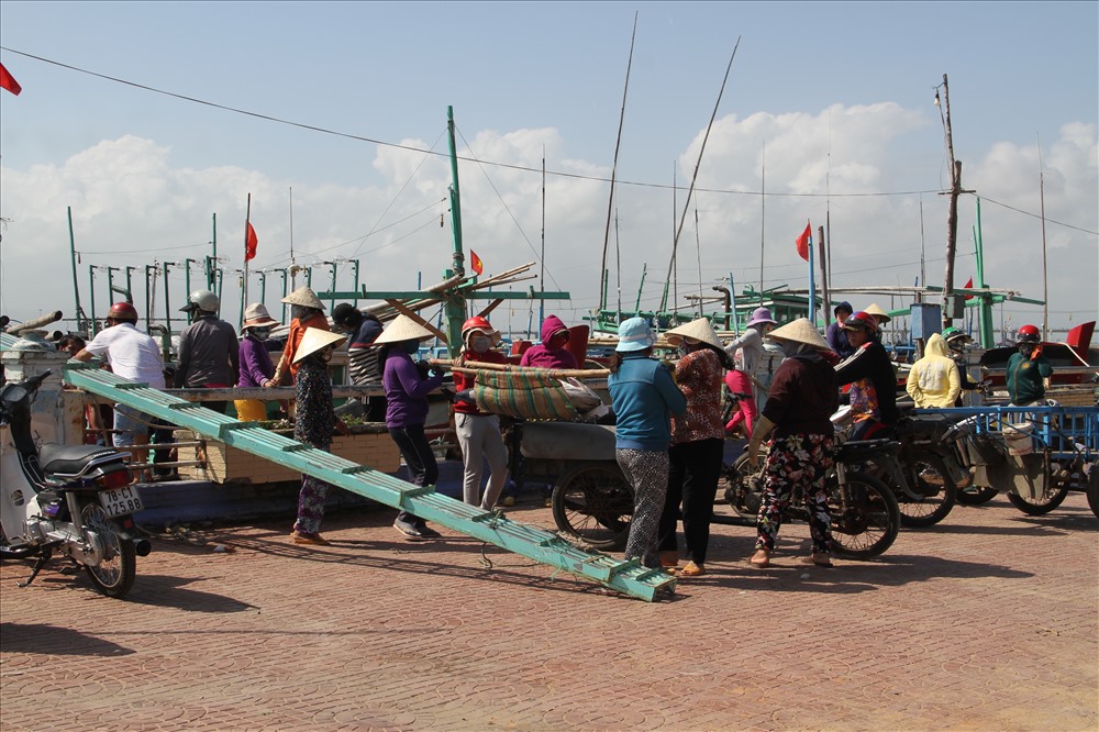 Khung cảnh nhộn nhịp mua bán tại cảng cá Phường 6 (TP Tuy Hòa)