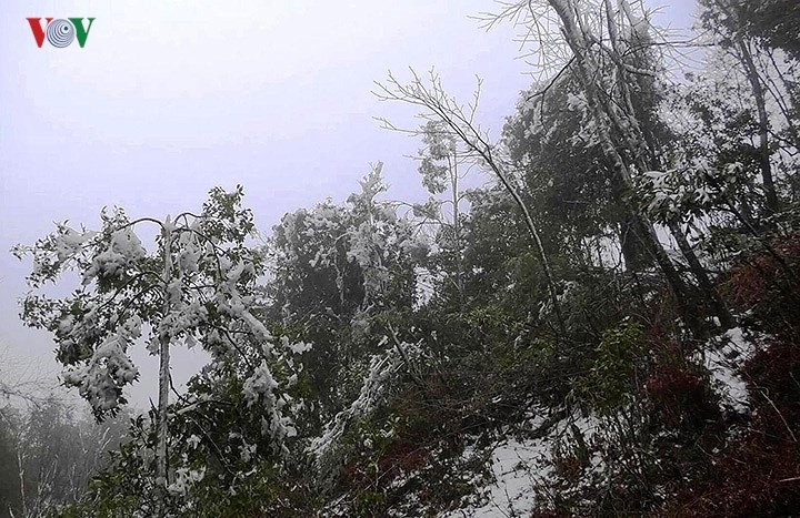 Đây là lần thứ 2 trong năm 2018, huyện Mù Cang Chải, tỉnh Yên Bái xuất hiện băng tuyết.
