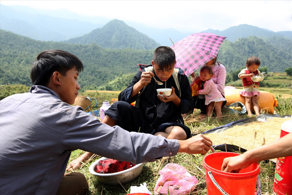Một gia đình ăn bữa cơm gạo mới trong khi thu hoạch lúa trên ruộng bậc thang.