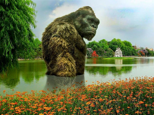 Nhiều hình ảnh được chế để phản đối việc dựng mô hình Kong tại Hồ Gươm