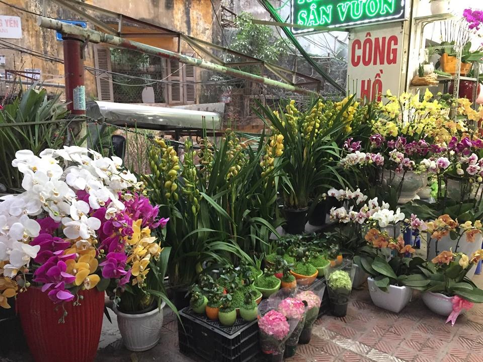 Bởi đường hoa Hoàng Hoa Thám bày bán các loài hoa quanh năm, không riêng dịp Tết Nguyên Đán nên tới đây hầu như người dân có thể tìm được mọi loại hoa để chơi Tết từ mức giá trung bình cho tới đắt tiền. 