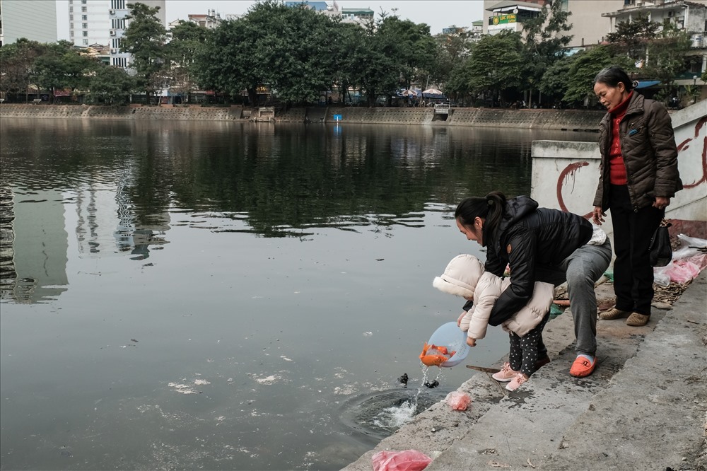 Từ nhiều năm nay, việc người dân đi thả cá phóng sinh vào ngày 23 tháng Chạp rồi xả rác, túi nilon bừa bãi tại các hồ ở Hà Nội là chuyện “biết rồi, khổ lắm, nói mãi“. Dù được tuyên truyền, vận động rất nhiều nhưng xem ra ý thức của người dân vẫn không mấy được cải thiện.