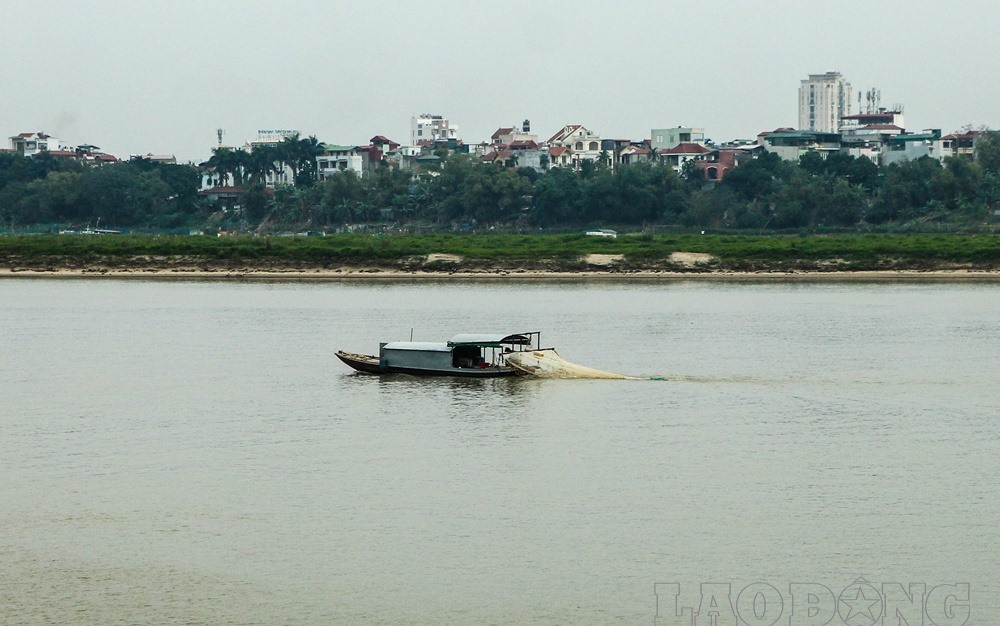 Nhiều người dùng thuyền nhỏ, giăng lưới bắt cá vừa được phóng sinh.