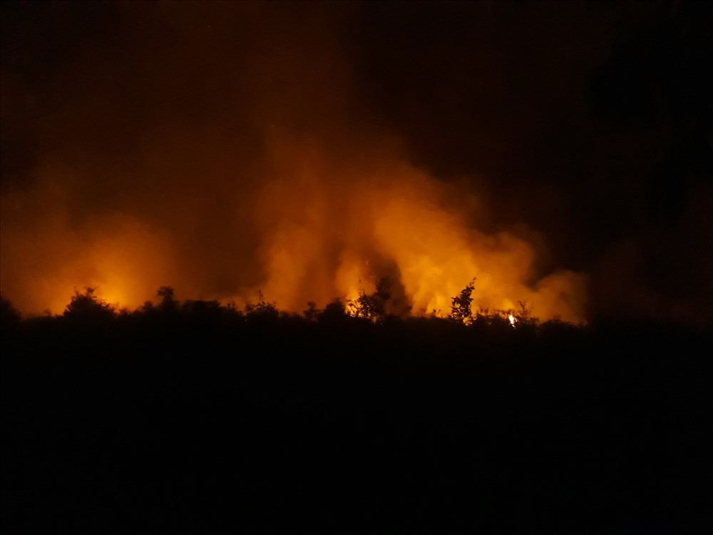 Rừng tràm tại Khu Du lịch Hồ Rừng bất ngờ cháy trong đêm.