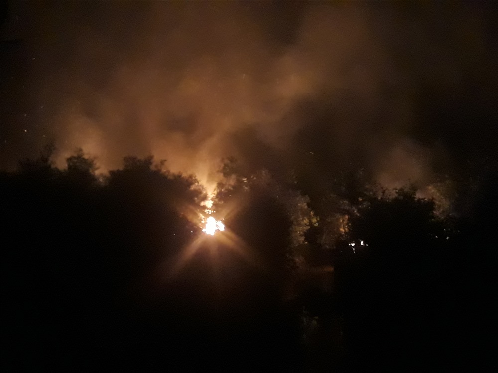 Rừng tràm tại Khu Du lịch Hồ Rừng bất ngờ cháy trong đêm.