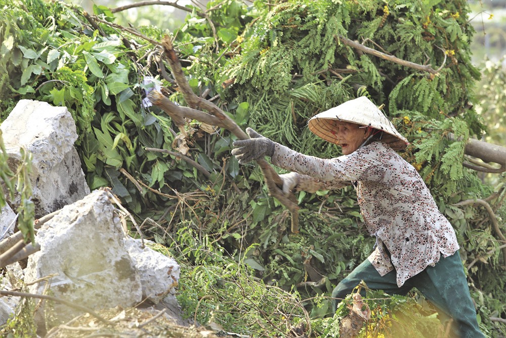 Dù đã gần 76 tuổi nhưng cụ Nguyễn Thị Ra vẫn ngày ngày mót củi. Ảnh: Trường Sơn