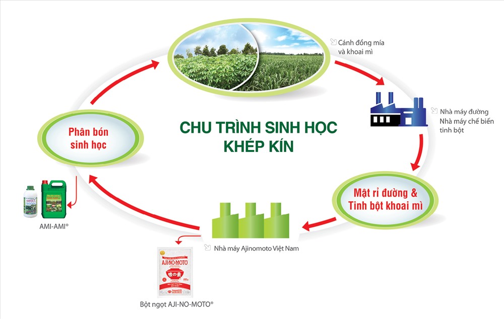 Chu trình sinh học