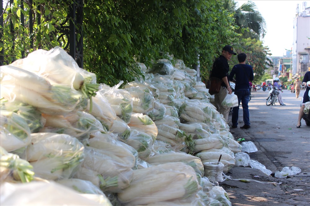 Theo phản ánh của một số người dân xã Tráng Việt, ngoài Tết nguyên đán tại cánh đồng này xuất hiện việc người dân phải vứt bỏ hàng chục, thậm chí cả trăm tấn củ cải trắng do không tiêu thụ được.