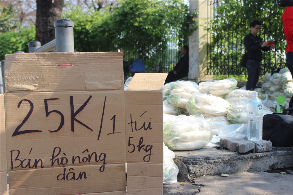 Nhóm tình nguyện chịu chi phí vận chuyển củ cải vào nội thành và kêu gọi người dân Hà Nội tiêu thụ giúp bà con nông dân với giá 25.000 đồng/5kg.